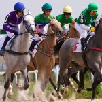 All The Information You Need To Pick A Winning Horse Racing Tip