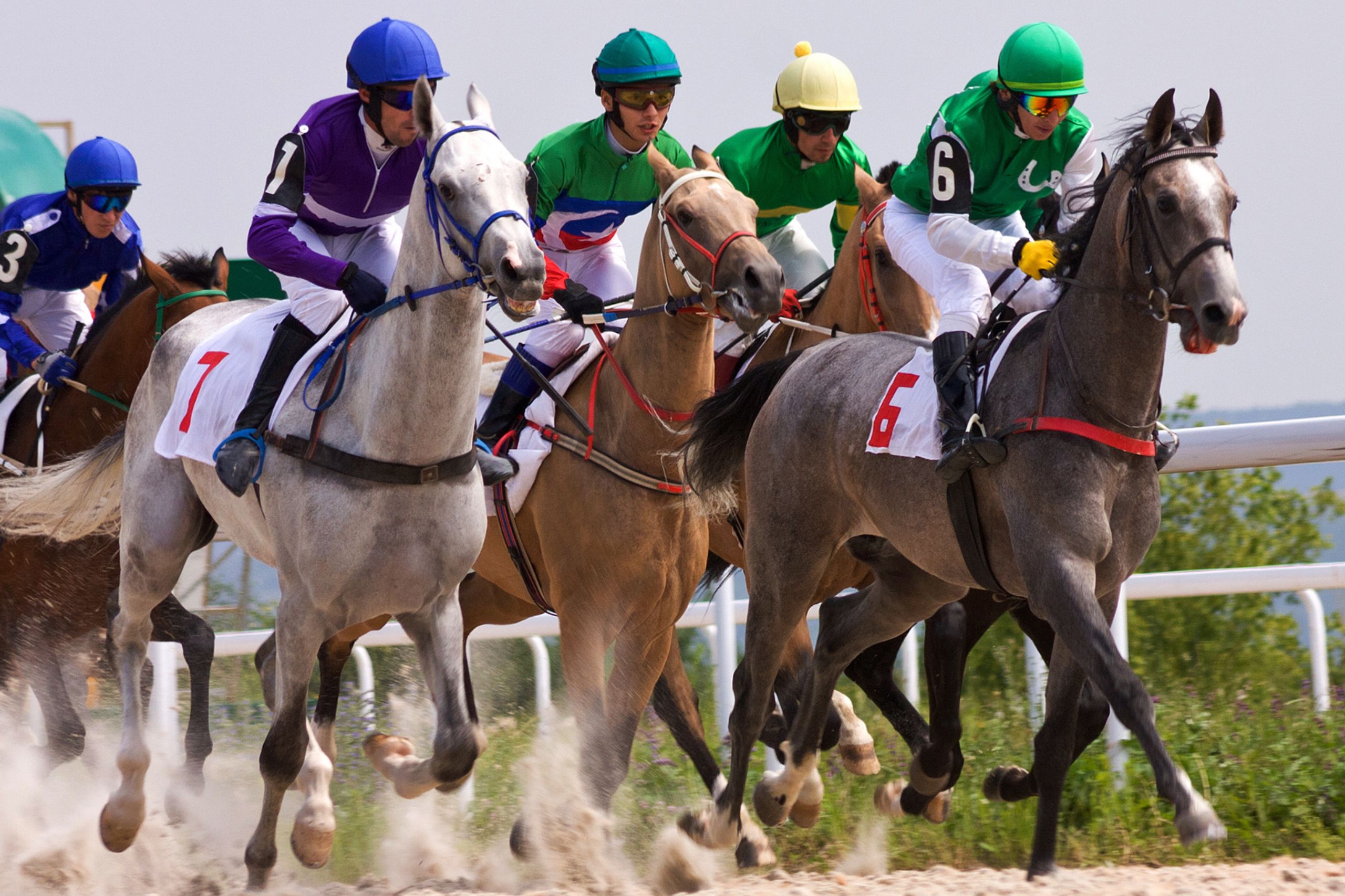 All The Information You Need To Pick A Winning Horse Racing Tip