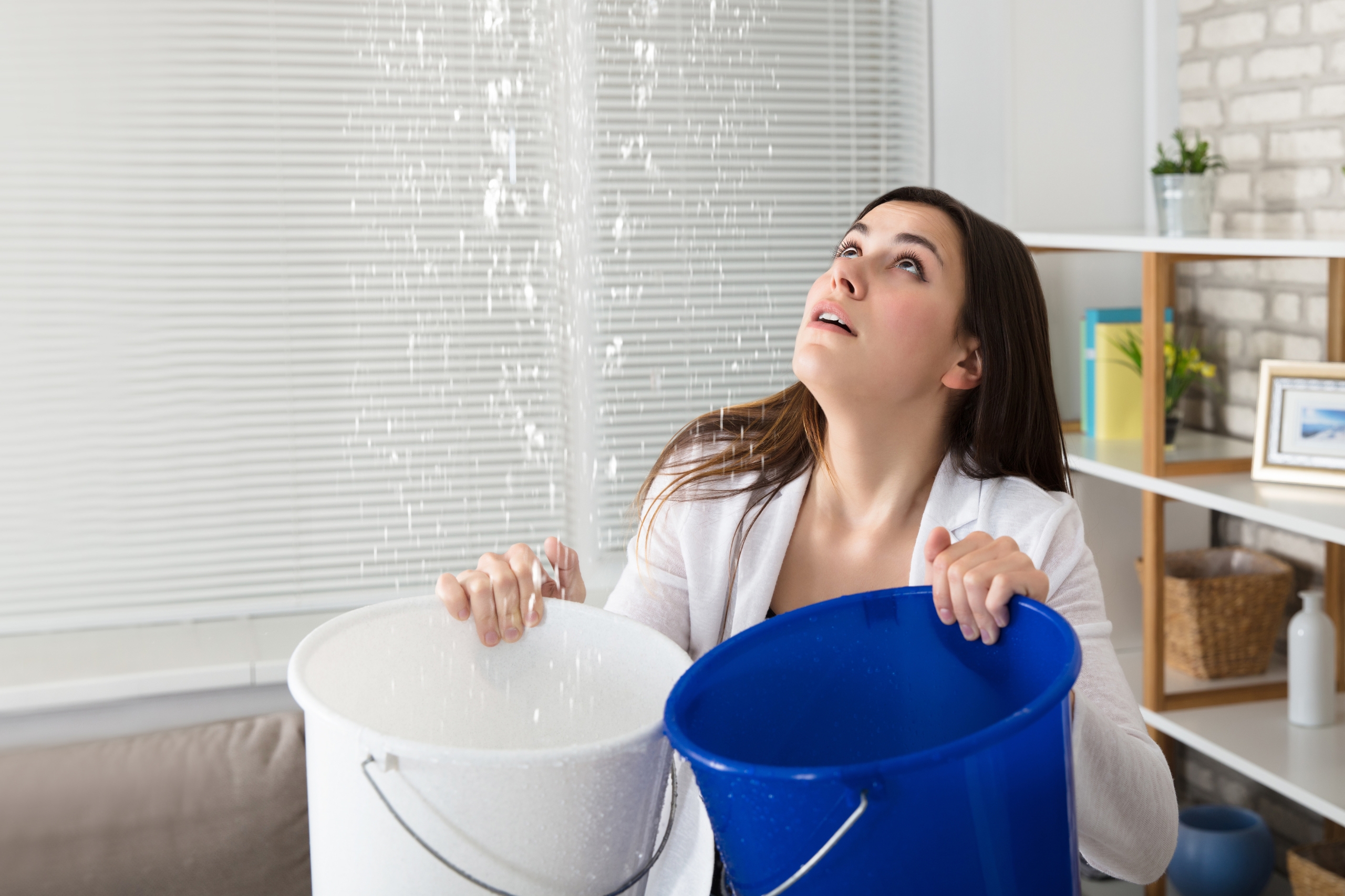 When the Water Won't Stop: How to Hire the Right Plumber for a Household Flood Emergency